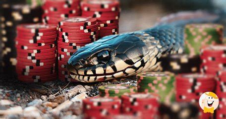 Bonus Abuse & iGaming: Casinos Fight Against Cheaters.